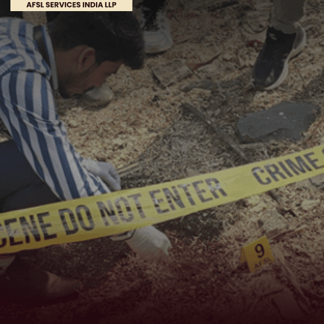 Evidence Collection at Crime Scene thumbnail