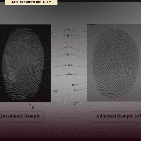 Fingerprint Identification for Immigration Disputes thumbnail